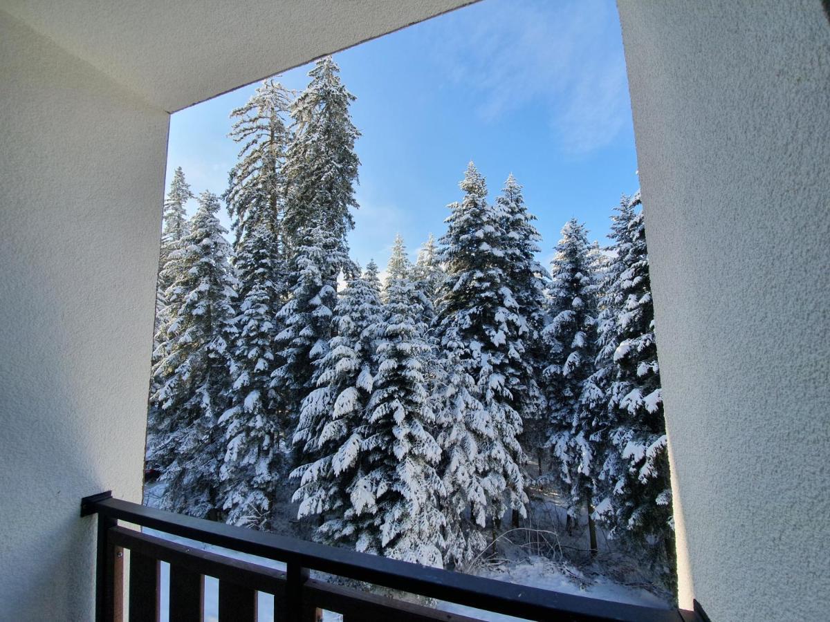 Pinewood Ang Luxurious Apartment A43, Borovets Gardens Ngoại thất bức ảnh
