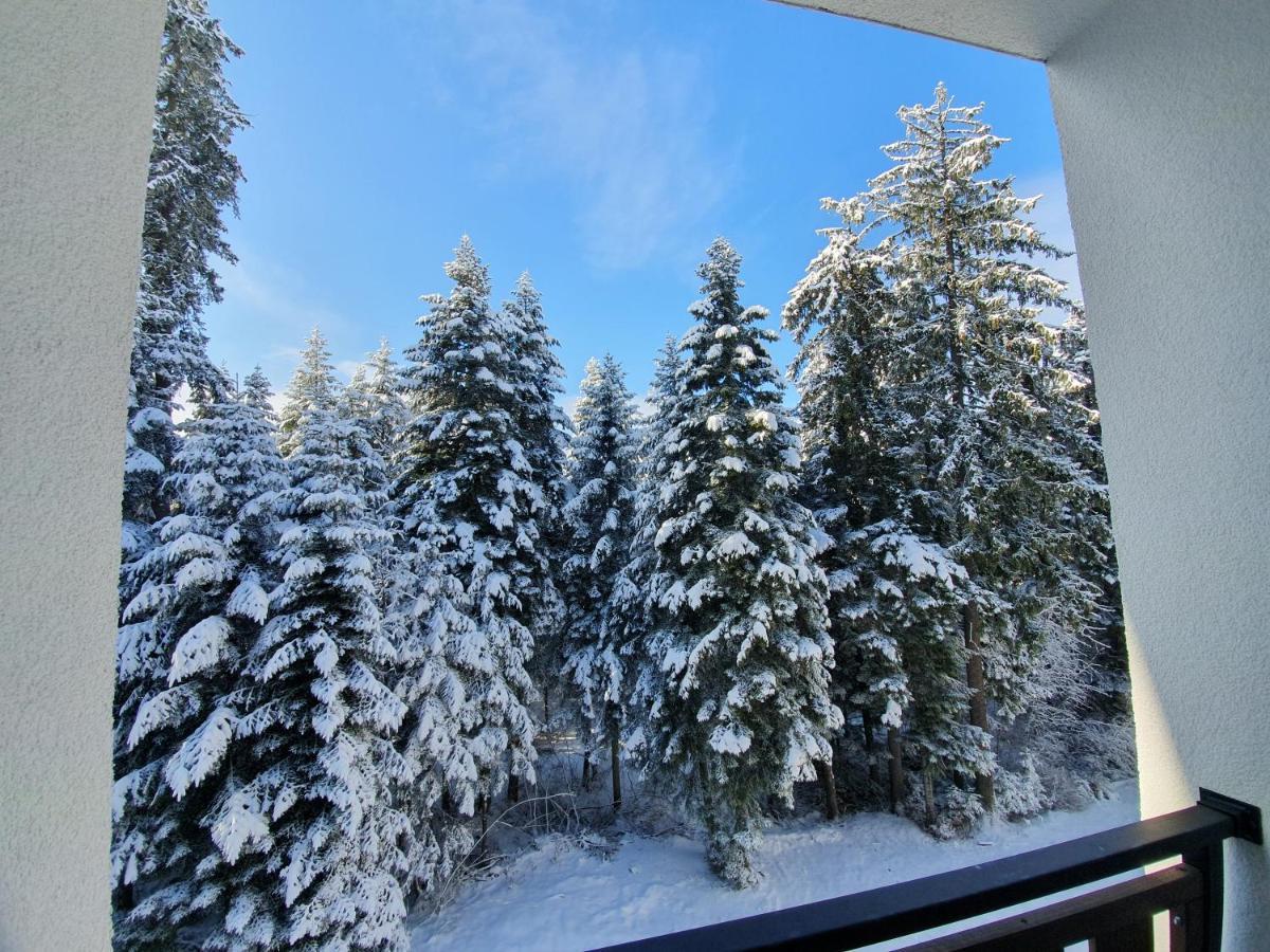 Pinewood Ang Luxurious Apartment A43, Borovets Gardens Ngoại thất bức ảnh